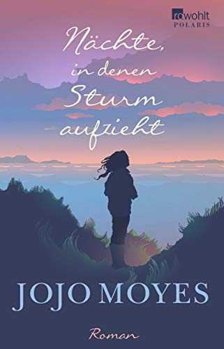 Nächte, in denen Sturm aufzieht: Roman
