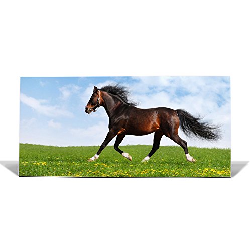 banjado - Pinnwand Magnettafel weiß 78cm x 37cm quer mit Motiv Pferd