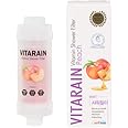 Vitamin C Shower Filter