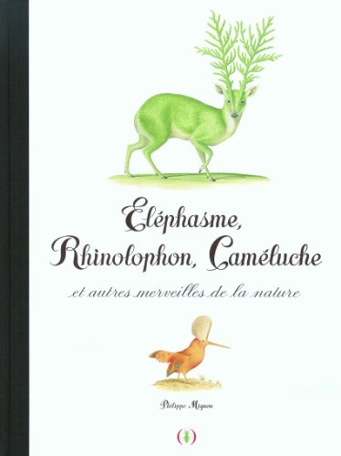 <a href="/node/34479">Éléphasme, rhinolophon, caméluche et autres merveilles de la nature</a>