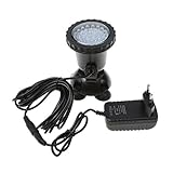 Jedes Licht kommt mit 36   LED-Lampen