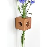 Fenstervase Apfel Blumenvase test tube vase