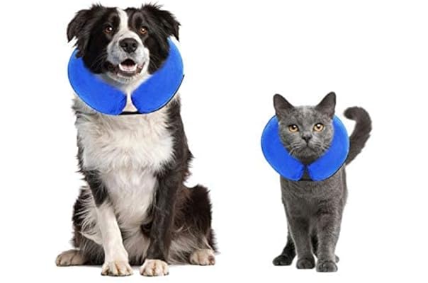 inflatable dog collar tesco