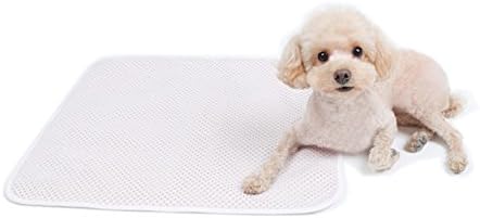 DCKR Essential Pet Pee Training Mat 2P Bowel Pad Large