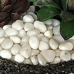 FAYMON White River Rock Stones - Natural Polished, Pebbles, Outdoor Decorative Stones, Natural Gravel, for Aquariums, Landscaping, Vase Fillers, Succulent, Tillandsia, Cactus Pot, Terrarium Plants