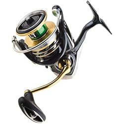 Daiwa Exceler – Caña Carrete de Lt con 5 + 1 5.3: 1 exlt3000dc, Negro