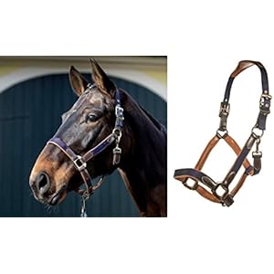 Lauria Garrelli by HKM Leder-/Nylonhalfter -Roma-