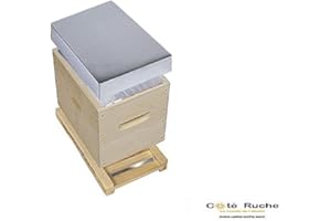 CÔTÉ RUCHE Ruchette Dadant 6 Cadres Fond Plastique