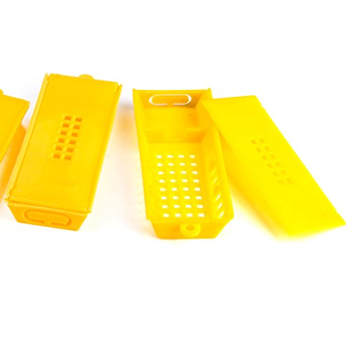 10 Stk Professional Queen Biene Butler Käfig Catcher Imkerei Werkzeug - 2