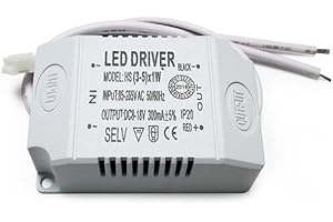 YHLOUBB Driver LED a corrente costante da 1pcs 220V,3-5w
