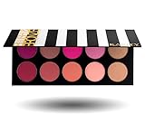 10 Pigmented Professional Blush & Bronzer Palette Makeup Kit Set Pro Palette High-end Formula (Blushes & Bronzer)