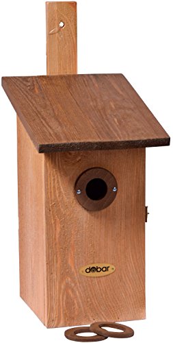 dobar 22415e Nistkasten für Vögel, aus Holz (Kiefer, Massivholz), für Garten, Balkon, Wand, 3 variable Einfluglöcher, mit Beobachtungsmöglichkeit, Farbe: Braun – Nisthilfe Vogelhaus - 4