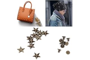 HEEPDD 10Pz 14mm Star Shaped Stud con Spikes per Punk Rock Cuoio Artigianale Vestiti Borsa Scarpe Giacche