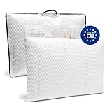 Oreiller à Mémoire de Forme Premium au Charbon Actif Anti Transpirant 60x40cm - Housse Fibre d'Argent, Taie Oreiller 50 x 70 - Made in Europe et Garantie 10 ans