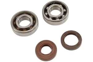 DOPPLER INSIDE Motodak roulement vilo + jts SPI Doppler Compatible avec am6 Endurance (6204 x2) skf c4 Polyamide