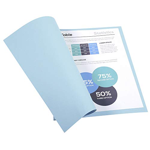Exacompta 410006E - Lote de 100 Subcarpetas Forever 250  Color Azul Claro