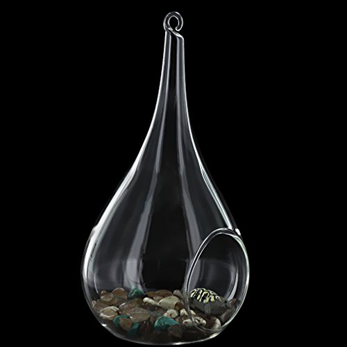 Gazechimp Transparent Kegelglas Wand Hängen Glas Vase Für Pflanzen Blumen Wohnzimmer Wand Dekor - 6