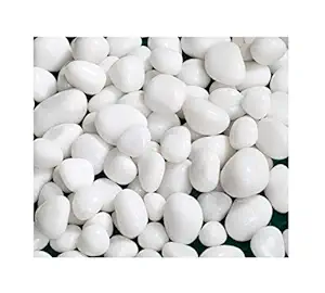 Anilus White Pebbles Stones for Decoration and Plants Pots, Table Decor, Home Decor (950 Grams, White Pebbles)