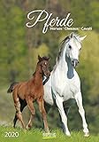 Pferde 2020 by 