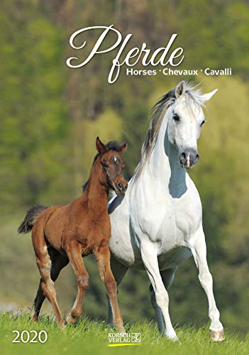 Pferde 2020