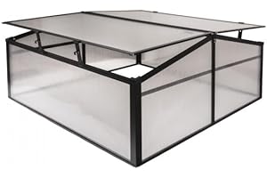 GRINDI IN THE GARDEN - Frühbeet Mini Gewächshaus Pflanzenhaus - Aluminium & Polycarbonat, 100x100x48, schwarz - für Garten, Balkon und Terrasse, Winterfest, Stabil & Einfach zu Montieren - MAGNOLIA IV