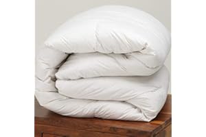 SpazioTessile Piumino Invernale Interno Microfibra 300Gr mq Singolo Piazza 1/2 Matrimoniale CA (Piazza e Mezza 200x200)