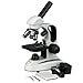 AmScope M158C-2L Cordless Compound Monocular Microscope WF10x and WF25x Eyepieces 40x-1000x Magnification Upper and Lower LED Illumination with Rheostat Brightfield Single-Lens Condenser Coaxial Coarse and Fine Focus Plain Stage 110V or Battery-Powered RS.15617.00