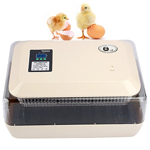 zjchao Incubadora del Huevo volteo Digital automatico con Control de Temperatura,24 Huevos