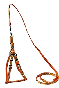 Petshop7 Printed Ribbon Nylon Adjustable Leash with Harness Set Printed Nylon Cat & Puppy Harness 10mm (Orange)