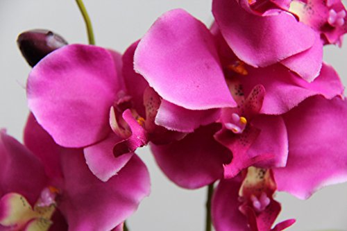 Homescapes Kunstblume Orchidee pink in schwarzem Keramik Topf Höhe ca. 35 cm Kunstpflanzen mit Topf, Künstliche Pflanzen klein - 2