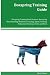 Produktbild Boxspring Training Guide Boxspring Training Book Features: Boxspring Housetraining, Obedience Training, Agility Training, Behavioral Training, Tricks and More