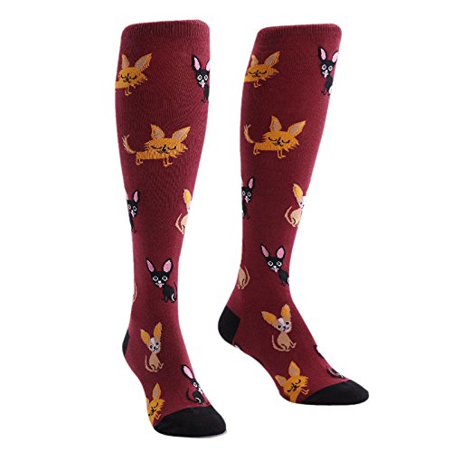 Sock It To MeWomen's Knee High Socks - Chihuahua