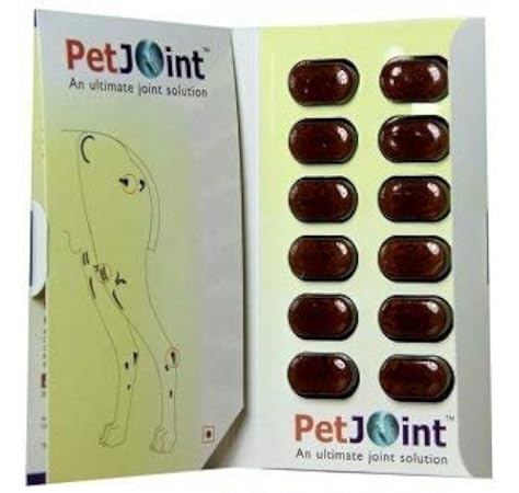 under the stairs dog room