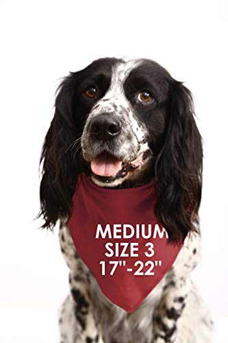 direwolf in training dog bandana