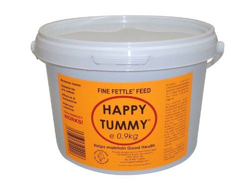 Fine-Fettle-Feed-Happy-Tummy-Horse-Digestion-Charcoal-x-09-Kg