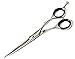 Professional Hairdressing Barber Salon Scissors 6 inch, + Case