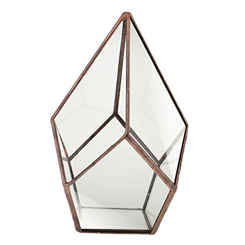 Luft Pflanzer Mini Glasterrarium Geometrisches Glas Sukkulente Pflanzgefäß Haus Dekoration 16x16x25cm - Kupfer
