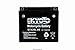 Price comparison product image BATTERY KYOTO CAN-AM RENEGADE 800 EFI 4X4 2007-2008 (YTX20L-BS)