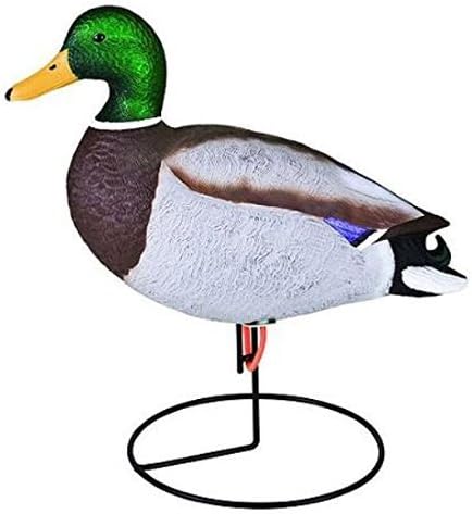 Storm Front Full Body 18" Mallard Decoy, Pack of 6 (4 Drakes, 2 Hens) by Flambeau Products