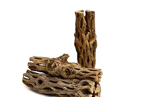 NilocG Aquatics Napremium Natural Cholla Wood 3 Pieces of 5-6 Long Natural Cholla Wood for Aquarium Decoration, Hermit Crabs, Shrimp