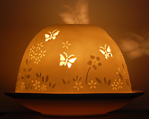 Starlight Schmetterlin