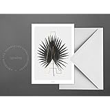 Postkarte / ABC Plants – A