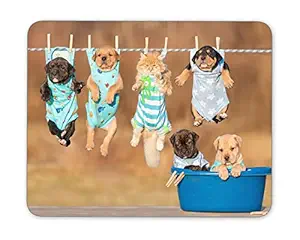 American Apple Cartoon Print On Rubber Base Mat Finish Mouse Pad for Office Boys & Girls ,Gaming Computer, Laptop, PC Mouse Pad