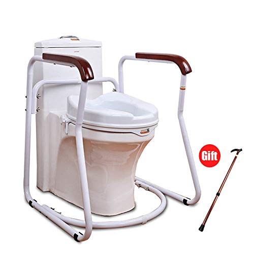 Buy XIHAA Stand Alone Toilet Rail, Medical Bathroom Safety Assist Frame