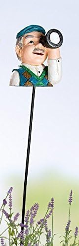 Ornamental Spike 'Detective Grandpa', 20 cm, Multicolored