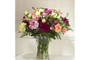 Sendabunch Mixed Spray Carnation Bouquet - 24 Fresh Stems with Free Box of Belgian Chocolates & Gift Message Card - UK Flower Delivery for Valentines Day, Birthday, Mother’s Day & Special Occasions