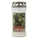 Produktbild JEKA Kerzen GmbH 20er Set Gedenkkerzen Grablichter Baum-Allee ca. 75 x 170 mm, Extralange Brenndauer, Dauerbrenner 70-90 h, Grabkerze, Grableuchte, Grablaterne, Grabschmuck, Trauerlicht