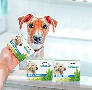 Pets Empire Dog Naturalis Handmade Dog Soap Fur BRIGHTENING & Antibacterial Organic Soap Skin & Coat Care 100 GMS (Pack of 3) (Neem).