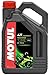 Produktbild MOTUL 5000 4T 10 W40 Motorrad-Öl 4 Liter