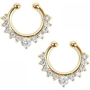 Nose Ring Without Piercing - 2 PCS Clip On Nose Rings For Women Stainless Steel 8mm Fake Nose Rings Without Piercing For Girls 2 PCS